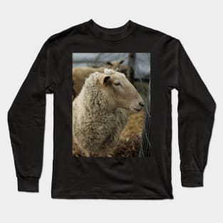 Curious Sheep with Bad Hair Day V1 Long Sleeve T-Shirt